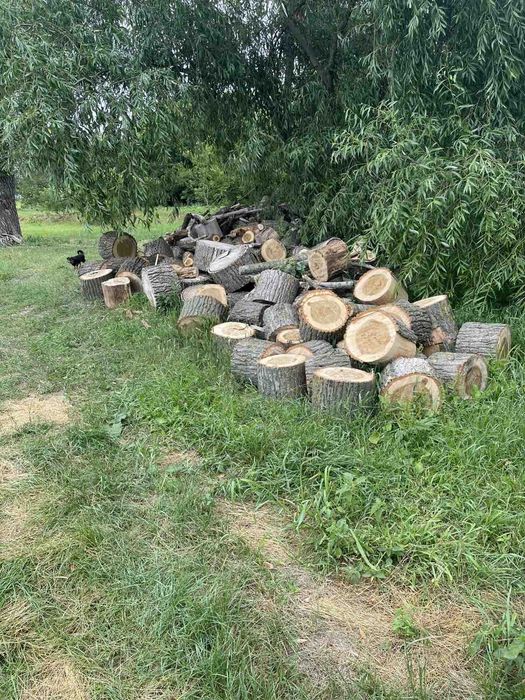 Дрова любих порід