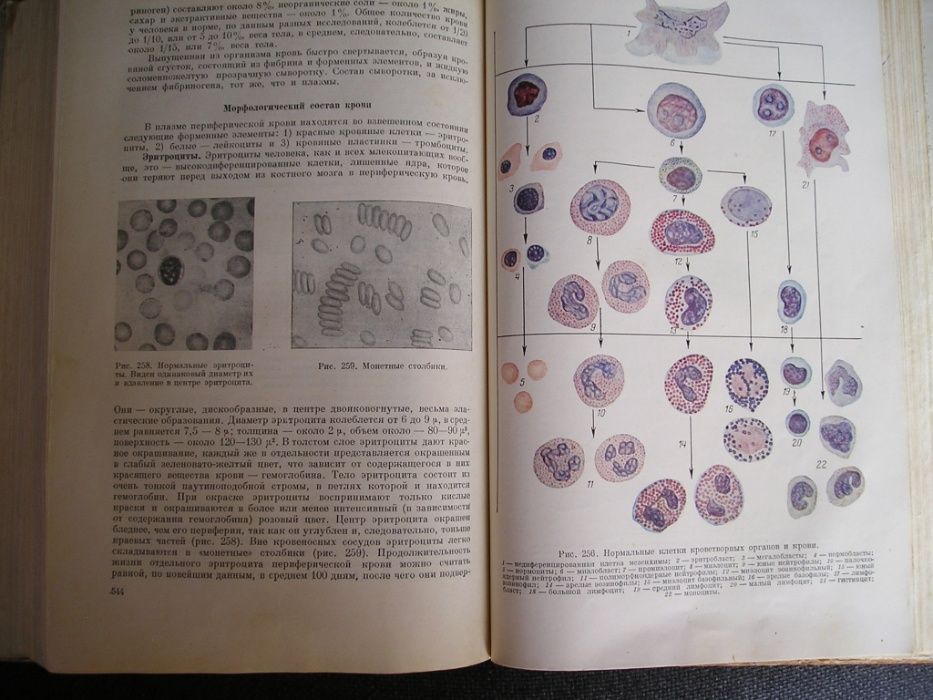 Черноруцкий Диагностика внутренних болезней 1953 г. (медицина)