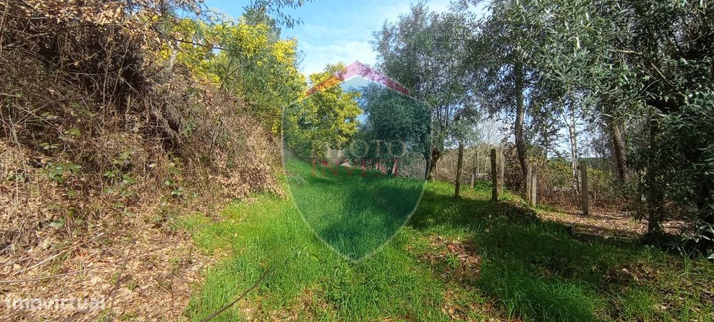 Quinta  Venda em Silgueiros,Viseu