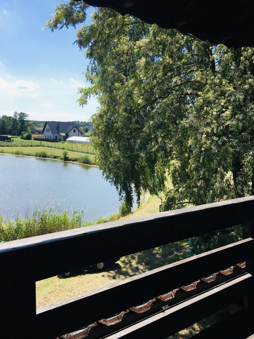 Domek nad stawem w okolicy Boszkowa