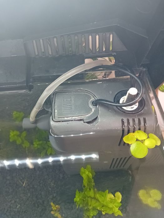 Wymienię akwarium 60L na 90-100L