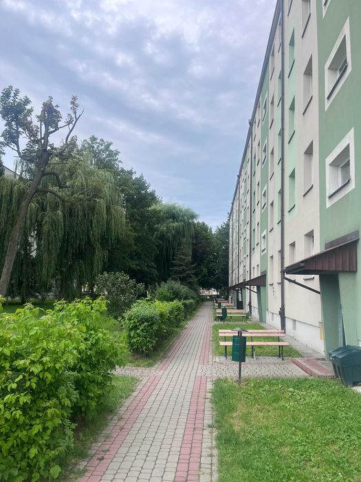 Mieszkanie, studio 25m2