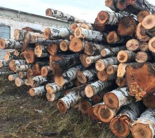 Березові дрова метрові гуртом фурою соснові дрова колоті дрова в роздріб грабові дрова оптом