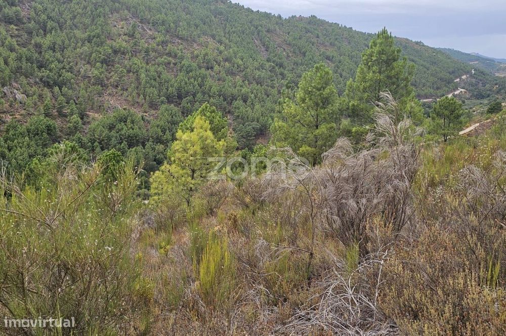 Terreno agrícola com 26.330 m² — Candedo, Vila Real