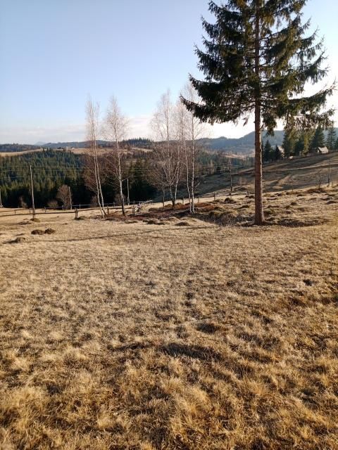 Продам земельну ділянку