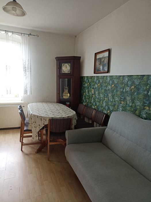 Mieszkanie do wynajęcia
