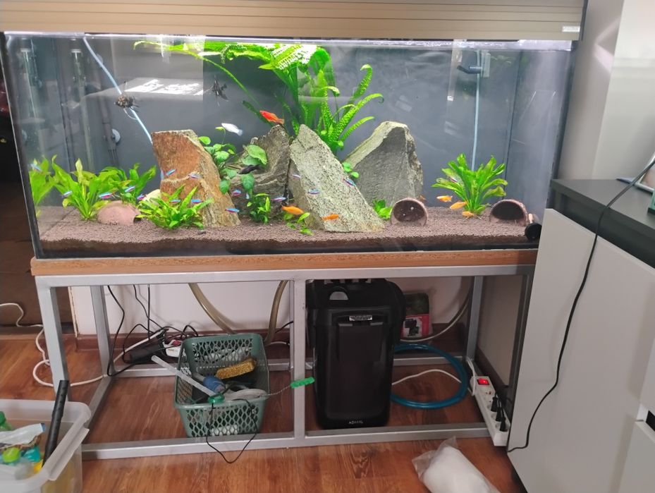 Akwarium 240l wraz z sprzętem