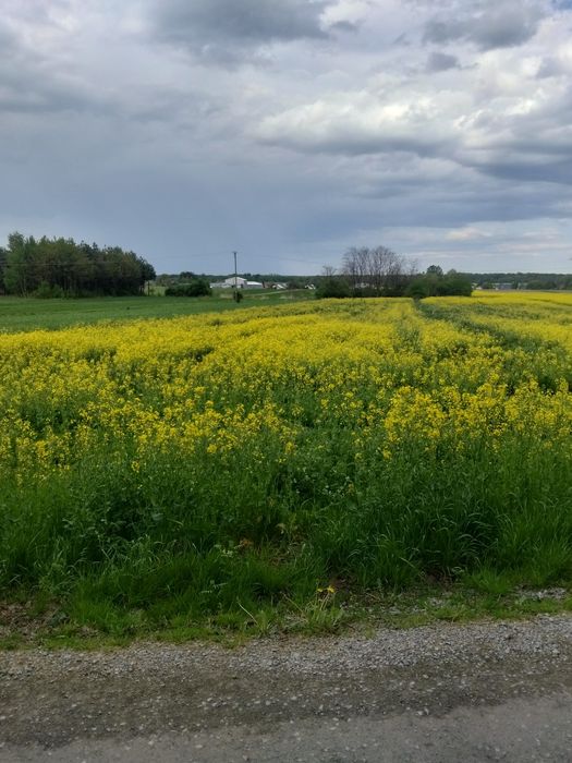 Piękna działka w Partynii 47 arów - View 4
