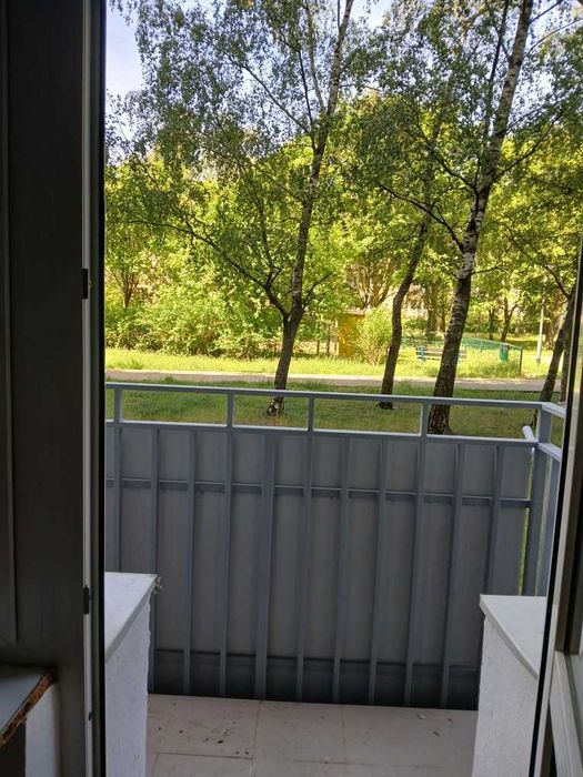 mieszkanie na wynajem Wichrowe Wzgórze – další