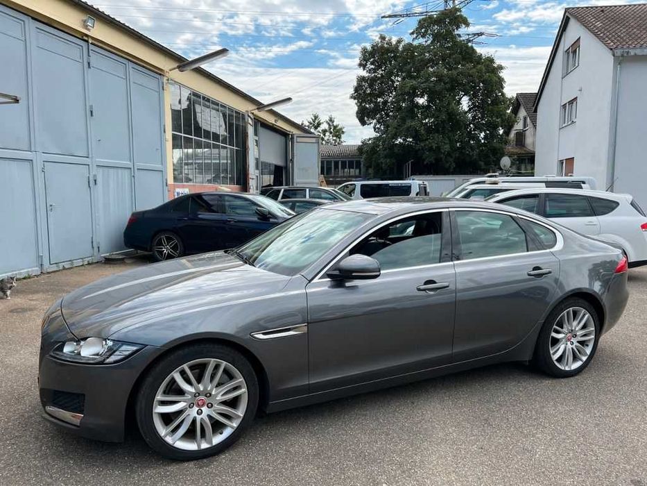 Бампер JAGUAR XF X260 запчастини розборка Ягуар іксф ікс260 шрот