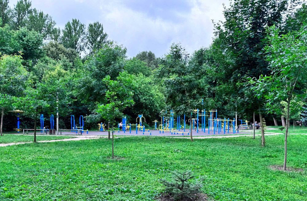 Підселення для ХЛОПЦЯ Пасічна (Делікатес) окрема кімната в 3-к