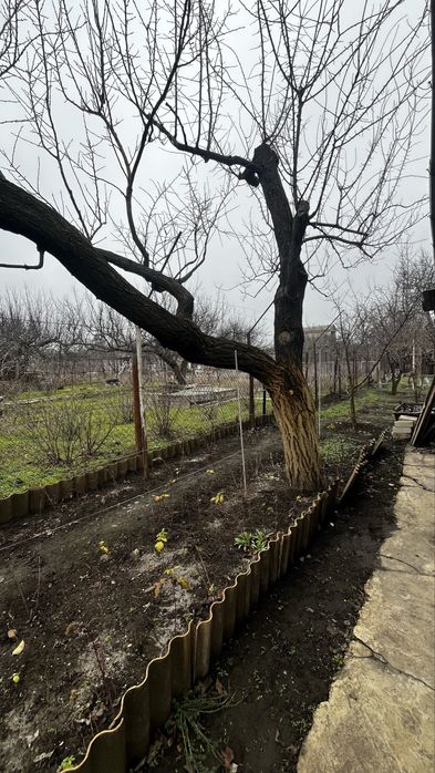 Проодам дачу Гурского / Приватизированная  земля