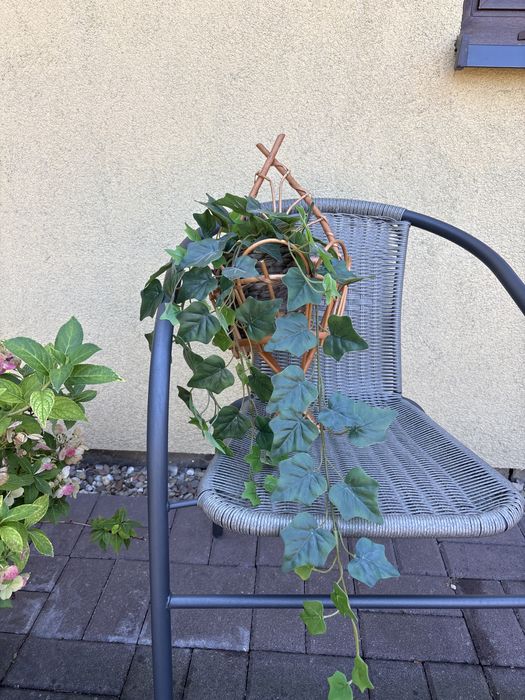 Sprzedam kwietnik z kwiatkiem