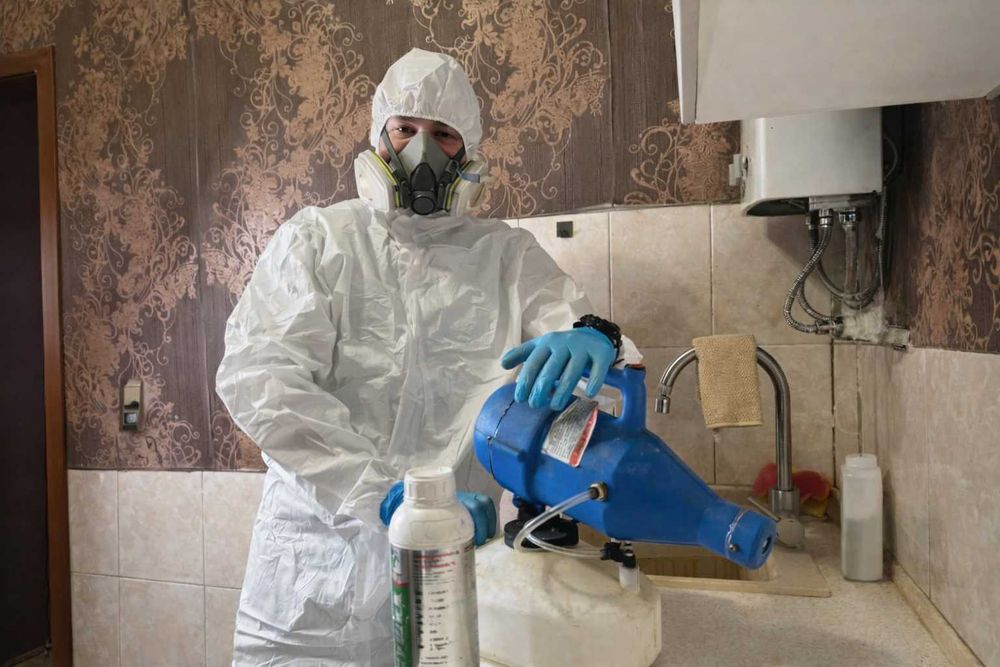 Обробка від тарганів клопів мишей | Дезінфекція квартири | Гарантія