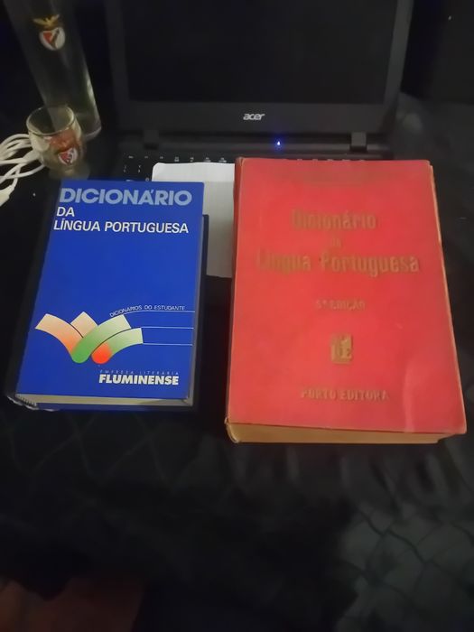 2 Dicionarios antigos em bom estado