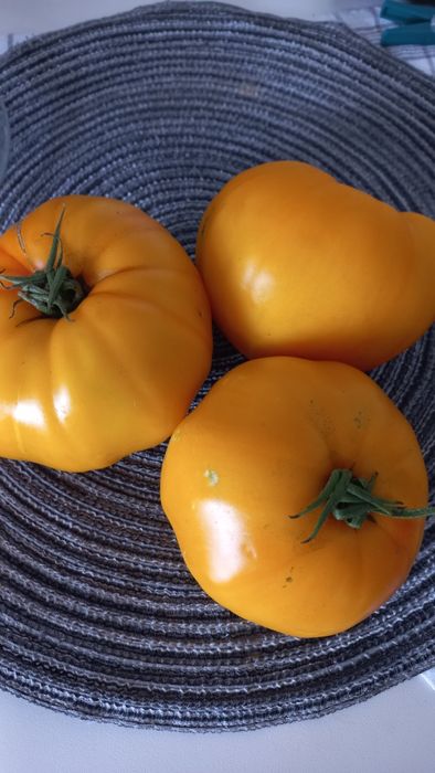 10 Sementes de tomate amarelo