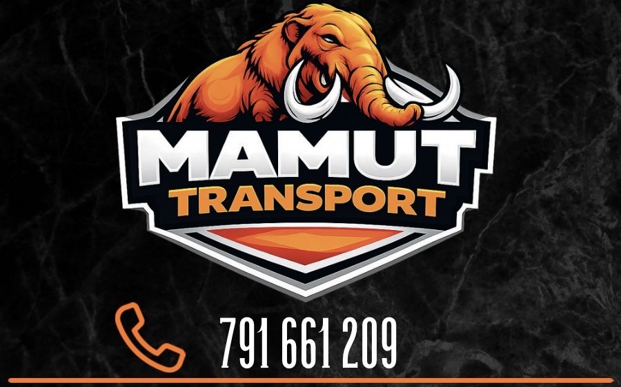 Przeprowadzki, przewóz mebli, transport, wnoszenie mebli, tragarze