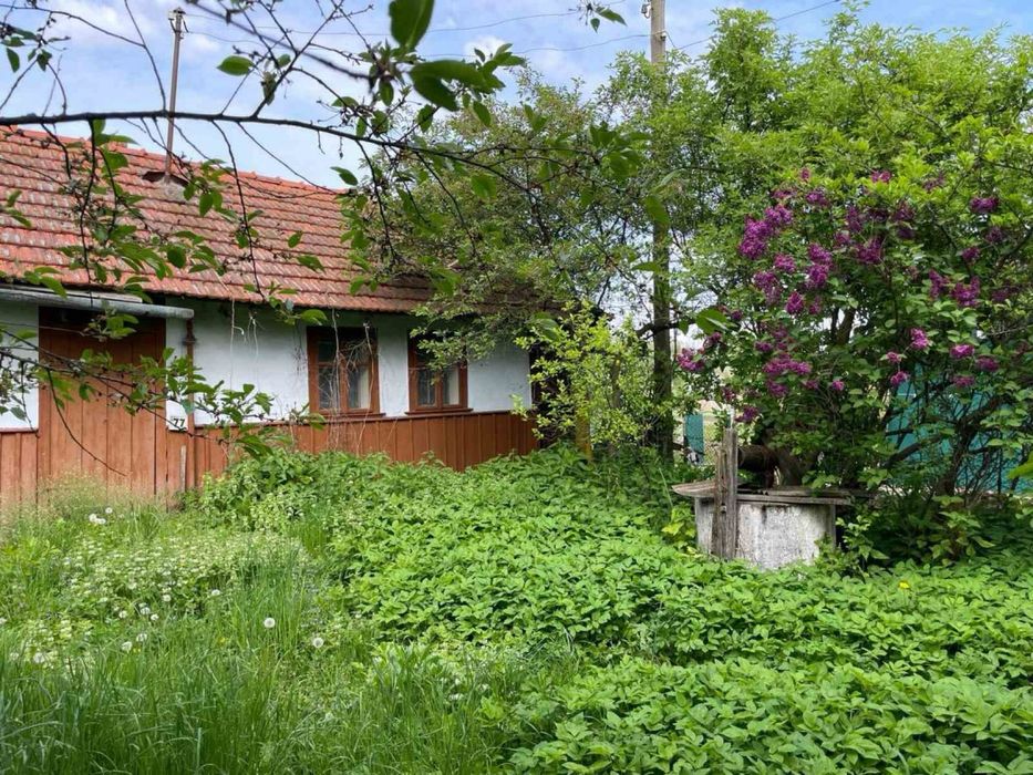 Продам будинок в Ценяві та землю,  20 хв до Коломиї