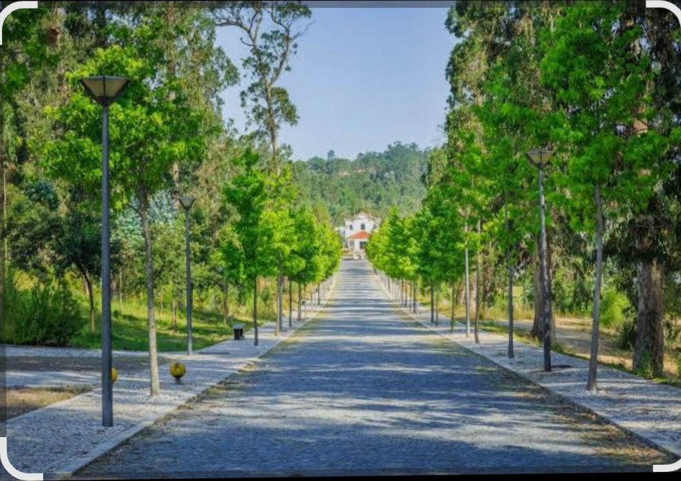 Casa T5 com anexos e pátio