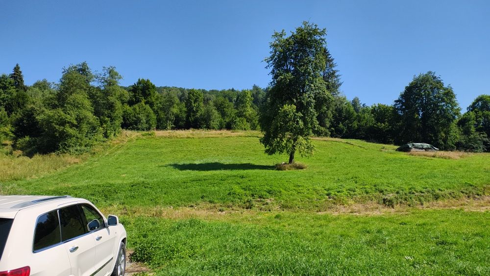 Działka w Bieszczadach  1,30 ha, w tym ponad hektar zadrzewiony