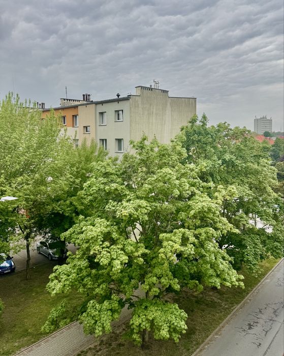 Mieszkanie – Tarnobrzeg - Więcej