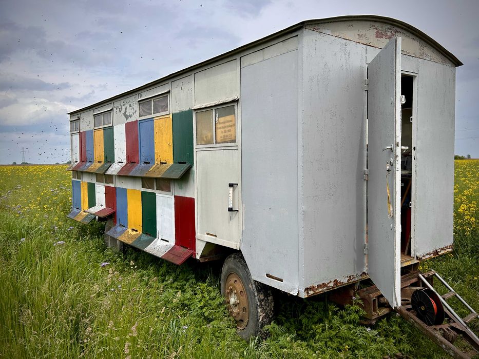 Sprzedam pasiekę - Wóz pszczelarski wraz z ulami i rodzinami