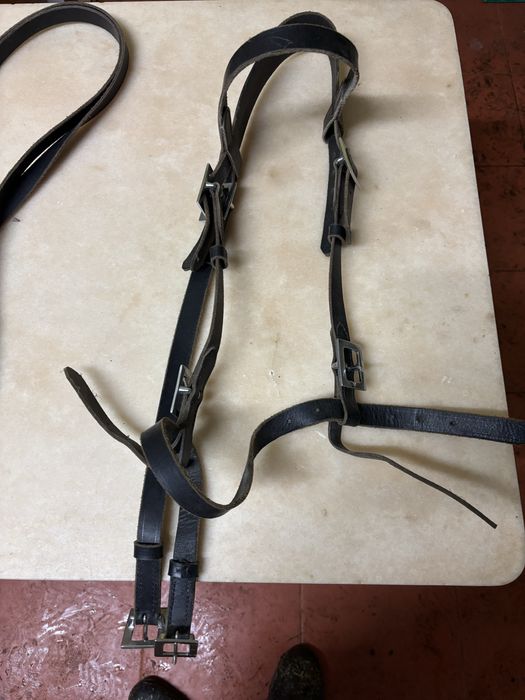 Cabeçada há portuguesa usada 2 vezes