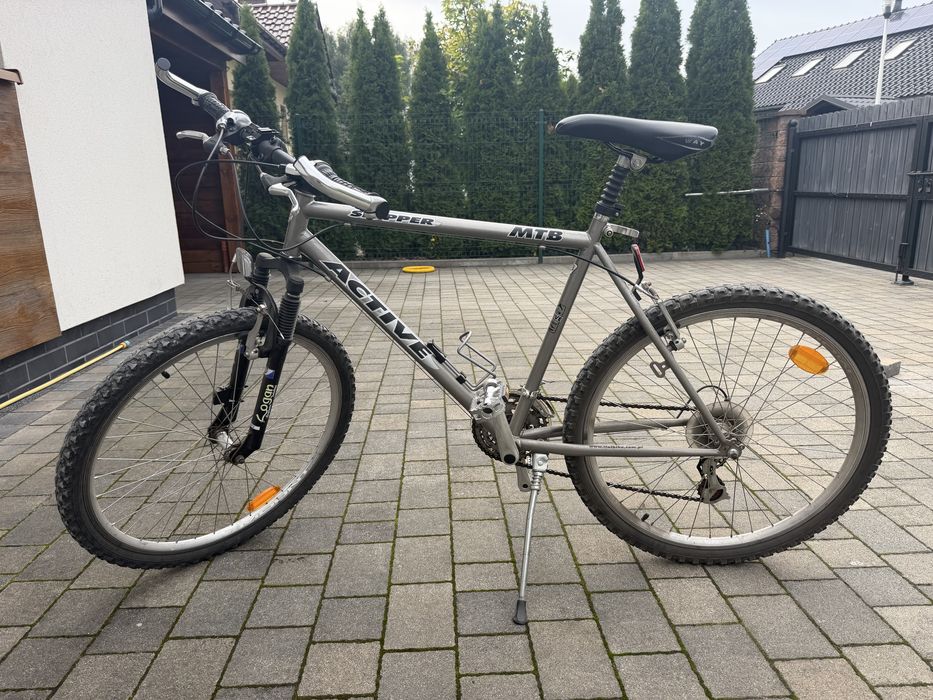 Rower MTB Active skipper