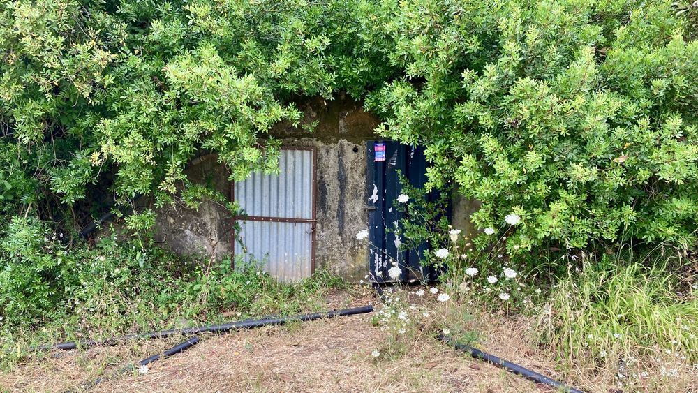 Terreno Rustico em São Brás Alportel