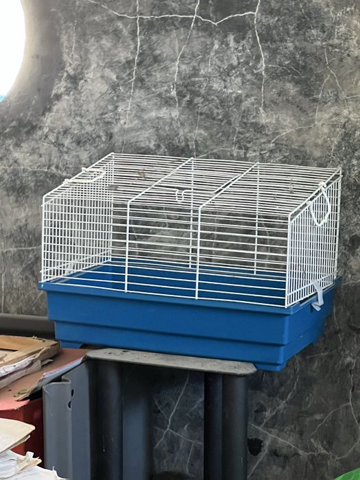 Conjunto de 5 gaiolas para aves canoras