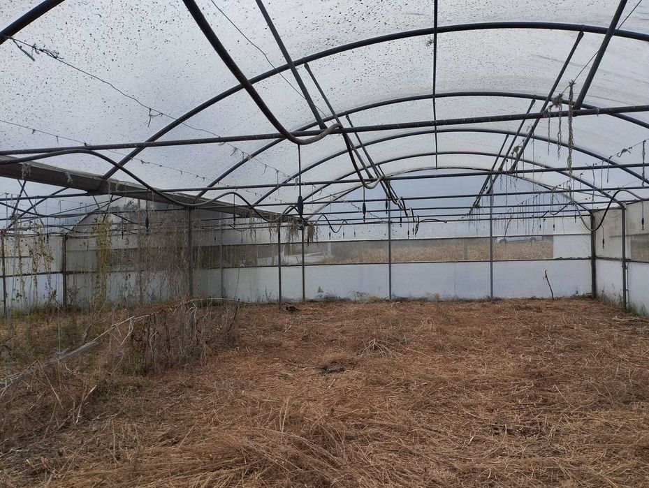 Estufa agrícola - excelente estado