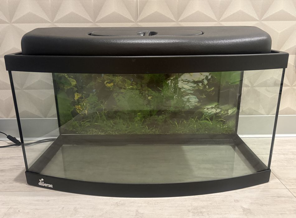 Akwarium 60l Diversa