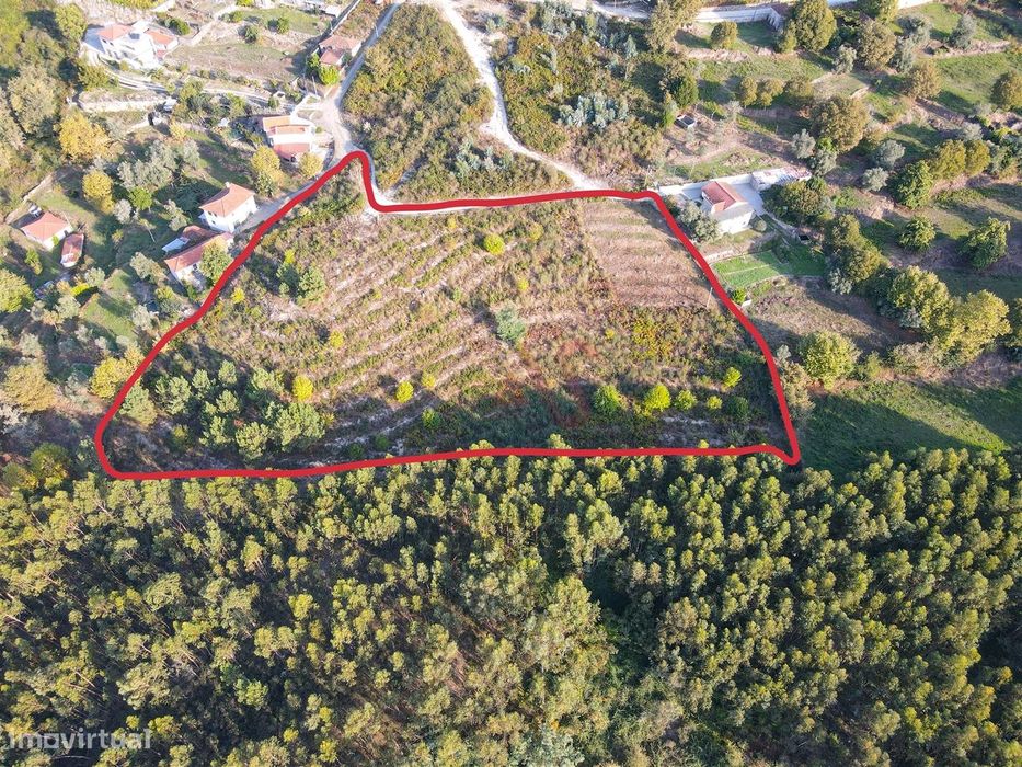 Terreno Rústico com 8.250 m² em Travanca, Amarante
