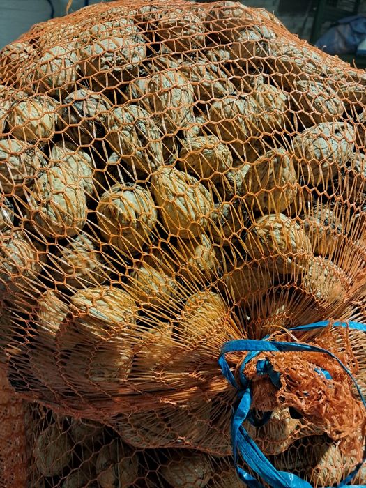 Orzechy włoskie całe