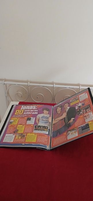 Dossier Jonas Brothers, novo