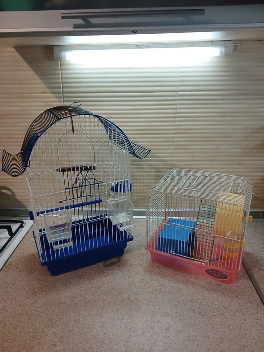 Клетки. Клетки..