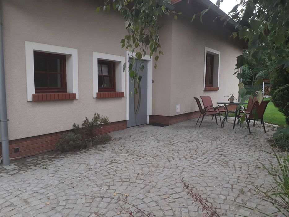 Zdjęcie 8