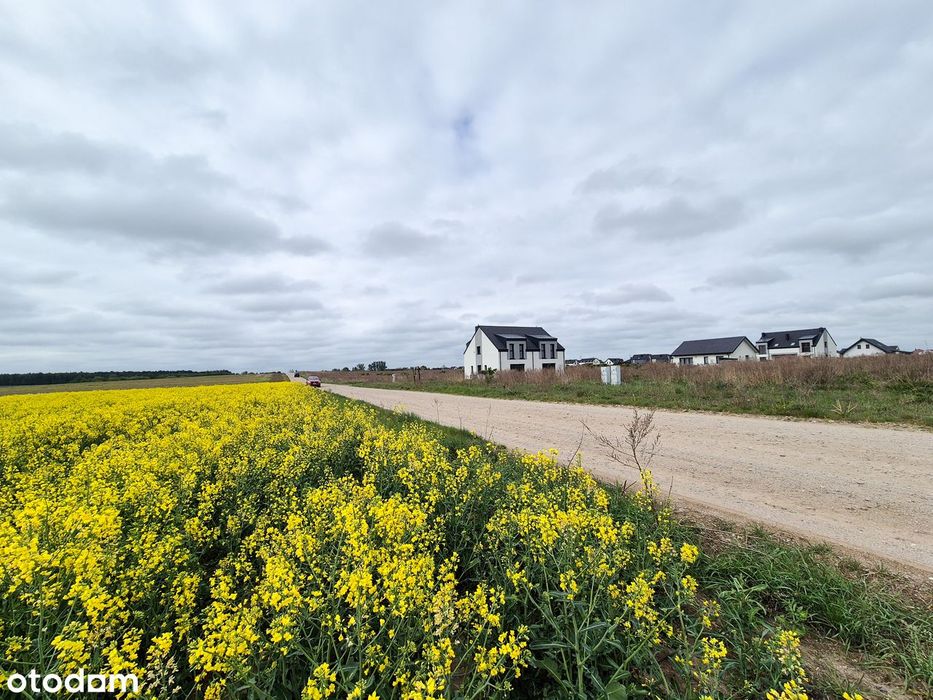 Działka 904 m² z MEDIAMI i miejscowym planem zagospodarowania - Widok 4