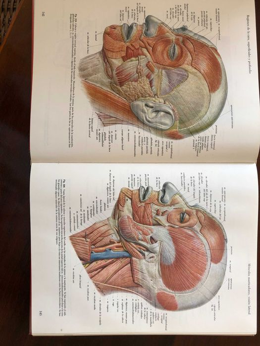 ATLAS de Anatomia Vol. 1 e 2