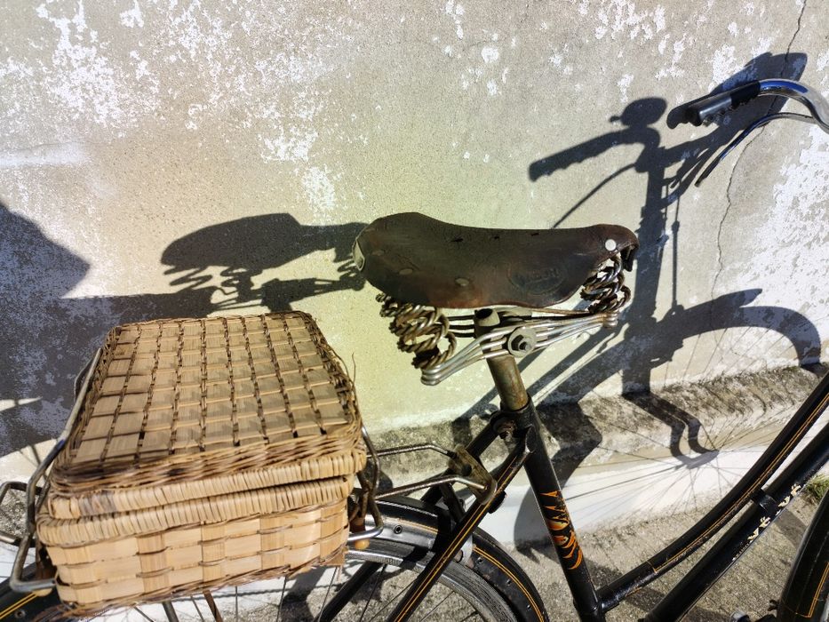 Pasteleira alavancas senhora