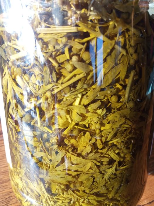 Z Podlasia zestaw sok syrop zakwas maść rokitnik ocet