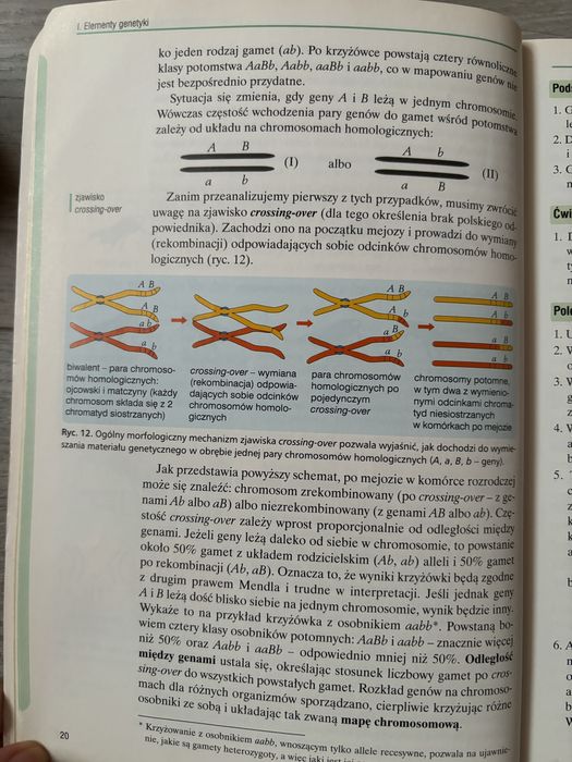 Podręcznik Operon 2 Biologia zakres podstawowy