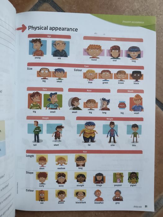 Gramática Inglês 2°ciclo