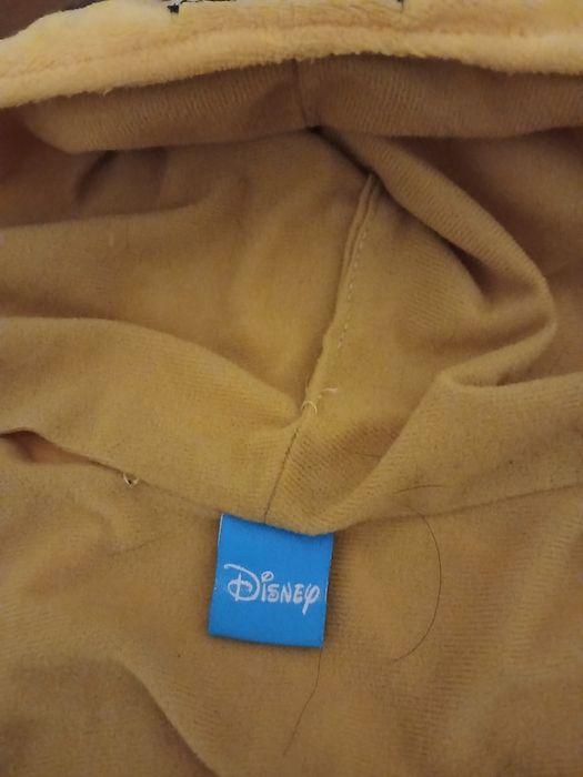 Fantasia para cães marca Disney