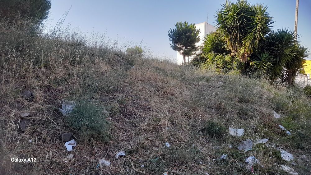 Profissionais de jardinagem