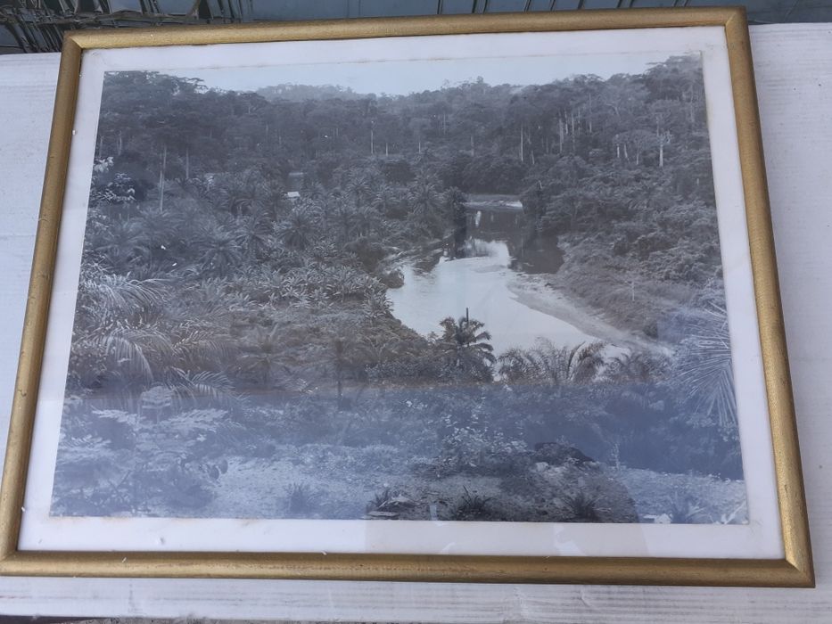 Quadros antigos "Competidora"