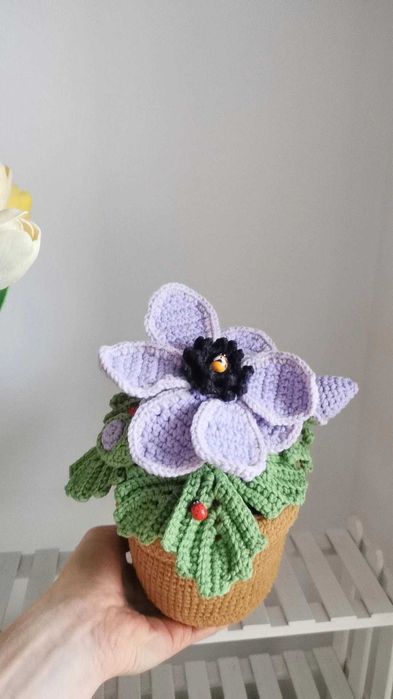 Zawilec na szydełku, kwiaty, anemon handmade