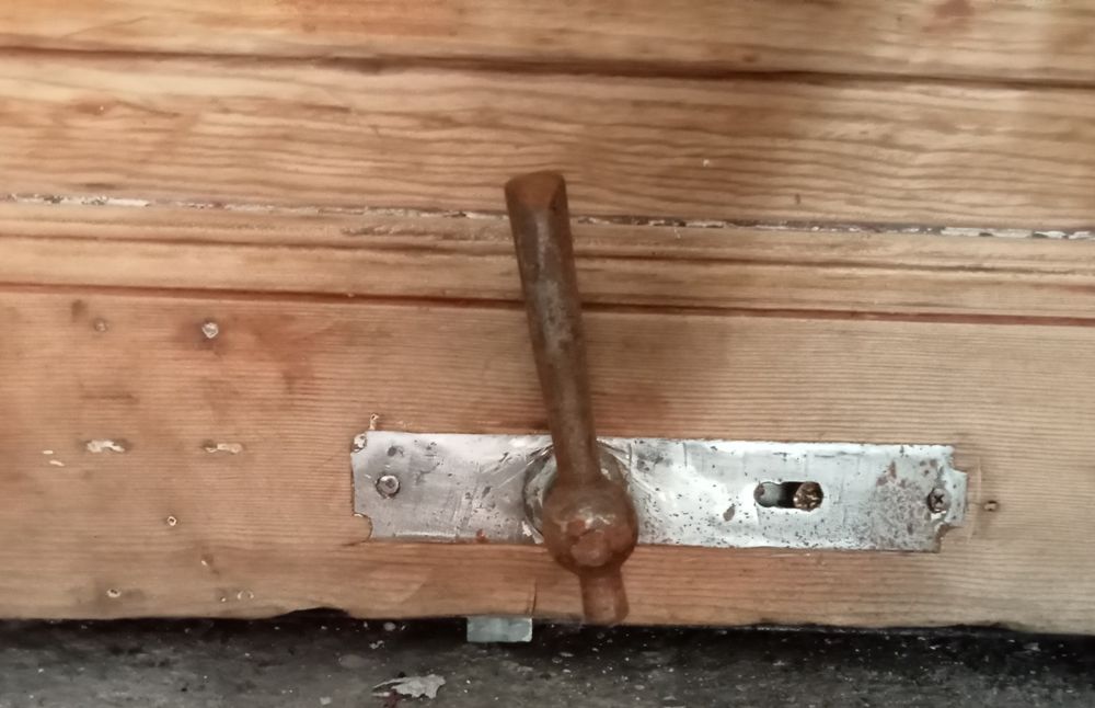 Drzwi wejściowe antyk