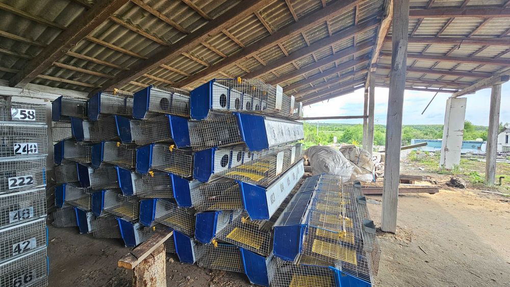 Клітки для кроликів маточні б/у