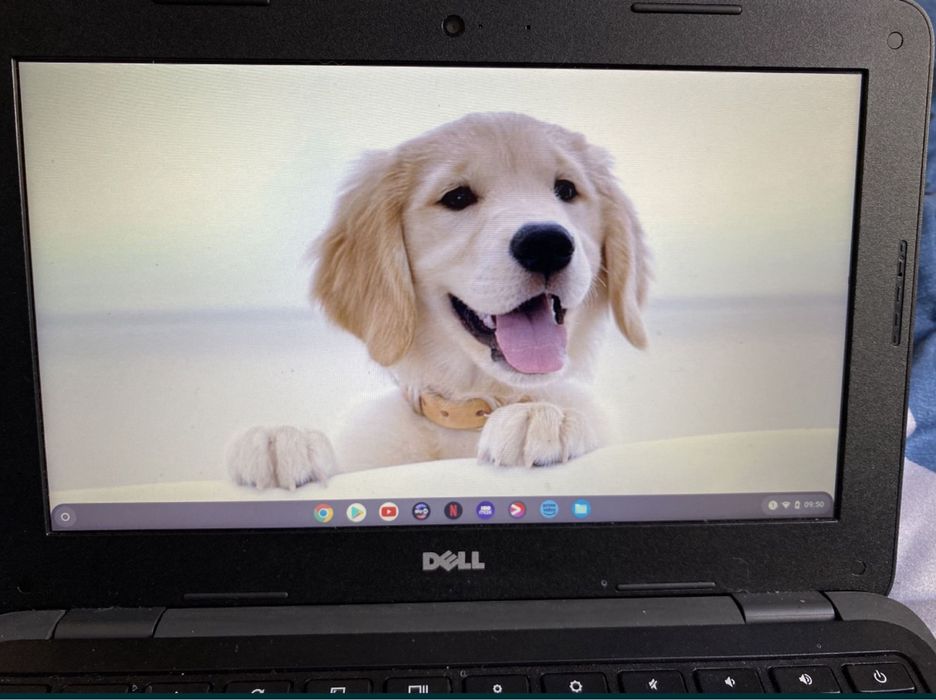 Notebook Dell  11” model 3180
